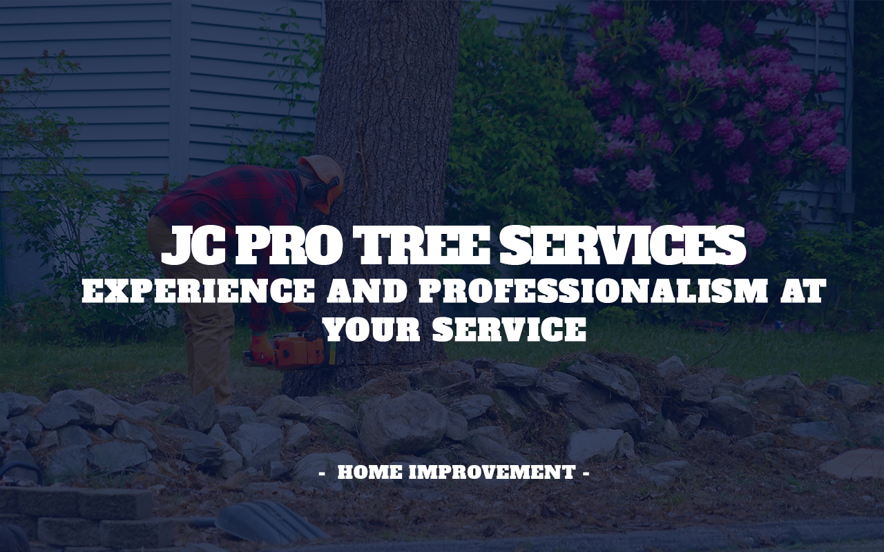 Member of JC Pro Tree services using a chainsaw to cut a tree down